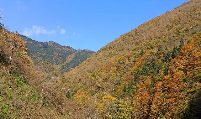 Giresun Yaylaları Foto Galeri