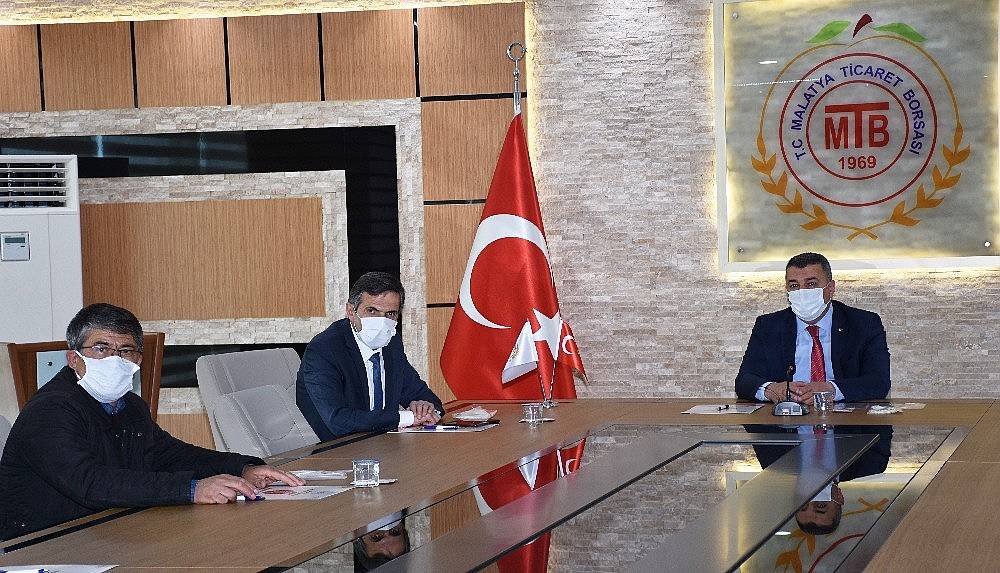 Kayısıda Monilya Hastalığı Nedeniyle Alarma Geçildi