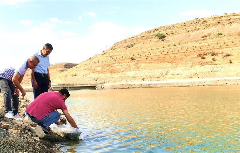 Malatya'daki göletlere 2 milyon yavru balık