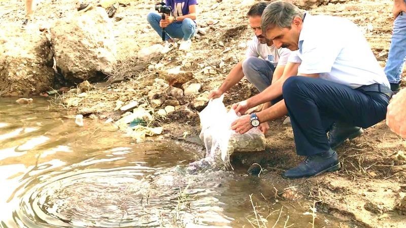 Malatya'daki göletlere 2 milyon yavru balık