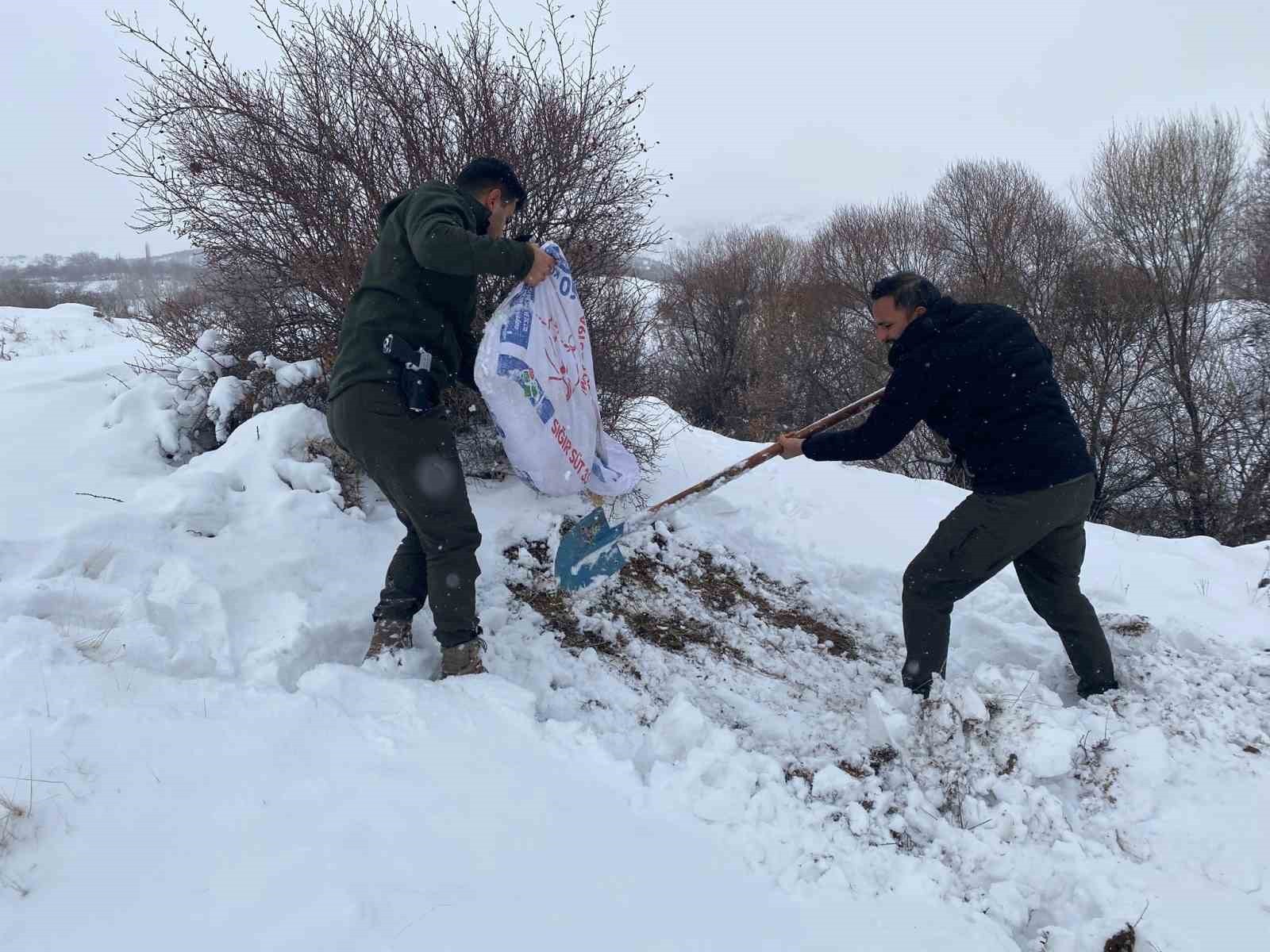 Malatya'da yaban hayvanları için yemleme çalışması
