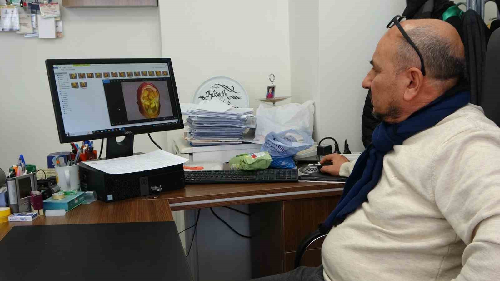 Kayısıda hasat sonrası sulama uyarısı