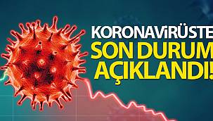 Yeni Vaka Sayısı 11 Bin 394