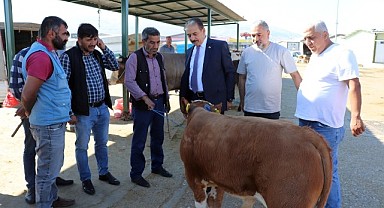 Keskin, Halkımız kurbanını marketlerde değil, yetiştiriciden ve köylüden alsın