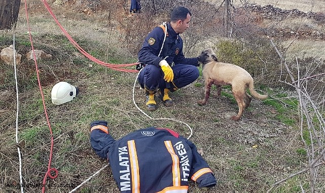 Kuyuya düşen köpek için zamanla yarıştılar