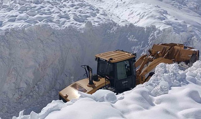 Çatak'ta çığ düştü: 9 yerleşim yerinin yolu kapandı