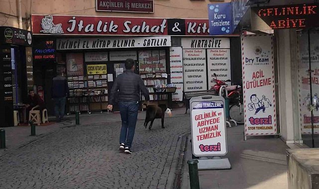 Sokak köpeği mağazadan pelüş oyuncak çaldı