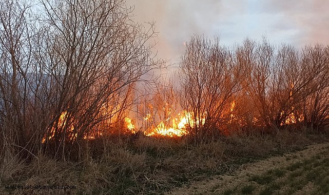 Darende'de iki farklı noktada bahçe yangını