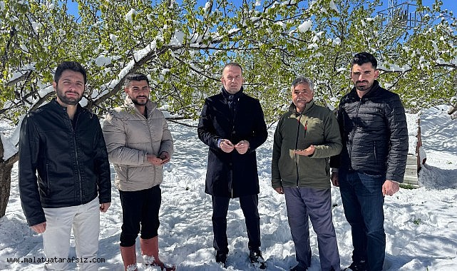 Malatya'da kayısı da don felaketi