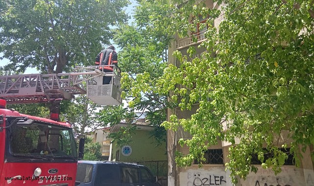 Malatya'da metruk evin penceresine sıkışan kedi itfaiye tarafından kurtarıldı