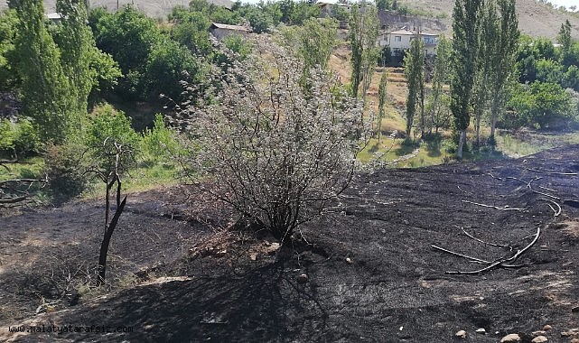 Malatya'da ot yangını