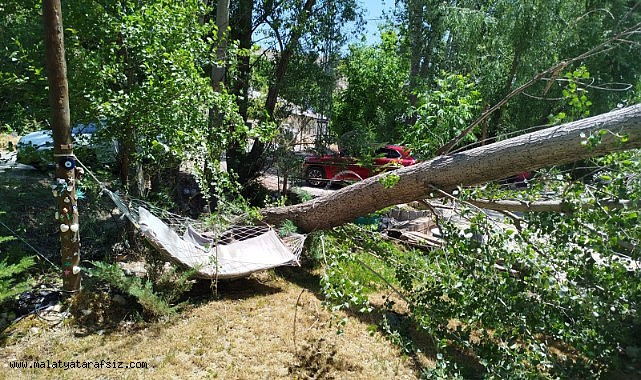 Malatya'da şiddetli fırtına ağaçları devirdi