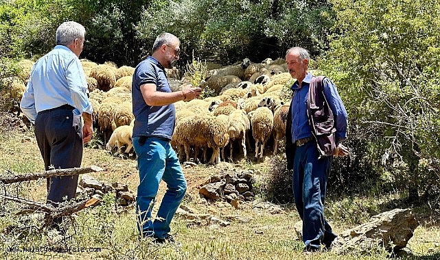 Yaylada zorlu şartlara rağmen üretmeye devam ediyorlar