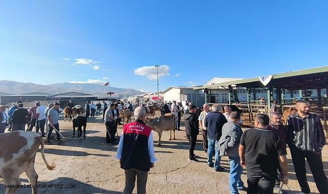 Malatya'da kapalı olan hayvan pazarı yeniden açıldı