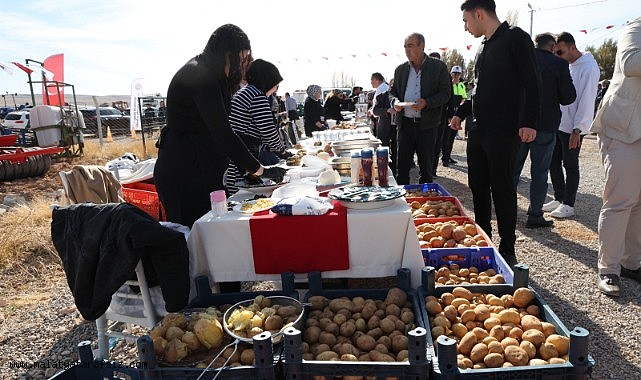 Darende'de yerli patates tohumu şenliği düzenlendi