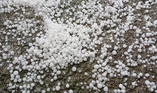 Malatya'da dolu kayısı bahçelerine zarar verdi