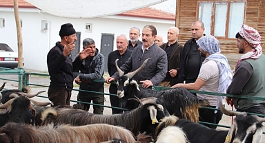 MESOB Başkanı Keskin: "Canlı Hayvan Pazarı yeniden kamu malı olmalı"