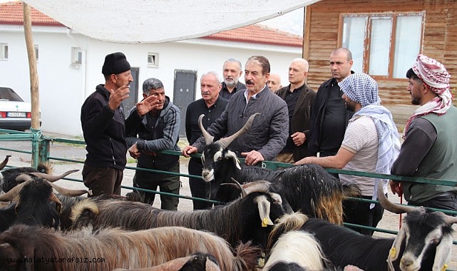 MESOB Başkanı Keskin: "Canlı Hayvan Pazarı yeniden kamu malı olmalı"