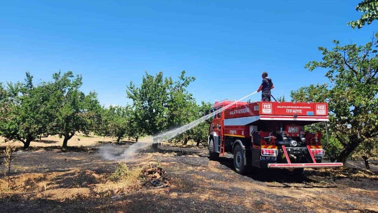 Malatya’da bahçe ve orman yangını
